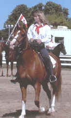 Cowboy, a Mountain Horse for sale